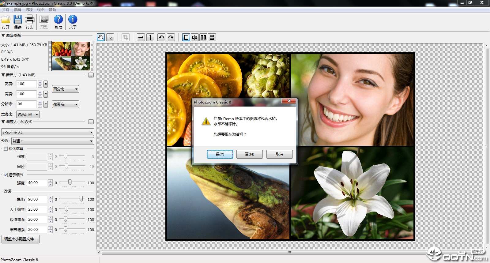 PhotoZoom Classicv8.0 WIN��