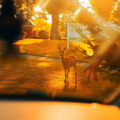 ��������ǩ����־���Լ� 2019�����������ǩ�����Լ�