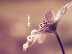 2019�����簲Ψ������˵˵ �������˵�΢��˵˵