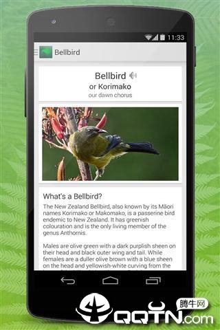 Birdlife of New Zealand����������v5.2 ��׿��
