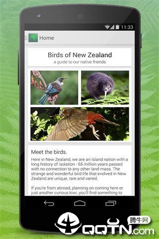 Birdlife of New Zealand����������v5.2 ��׿��
