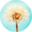 ���ײ���v1.0 ��ɫ��