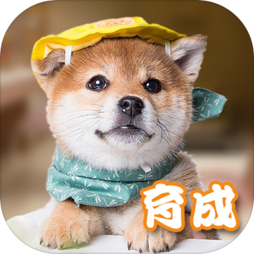 Ԫ��С��taptap��v1.0 ��׿��