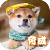 Ԫ��С��taptap��v1.0 ��׿��