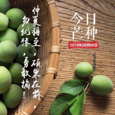 2019â�ֽ���ͼƬ��ȫ���� â�ַ�΢������Ȧ��ͼ