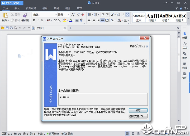 wps office2013רҵ��