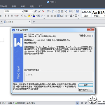 wps office2013רҵ��