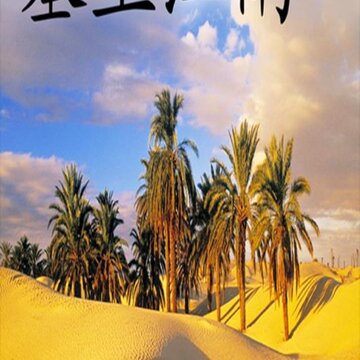 塞上江南 塞上江南