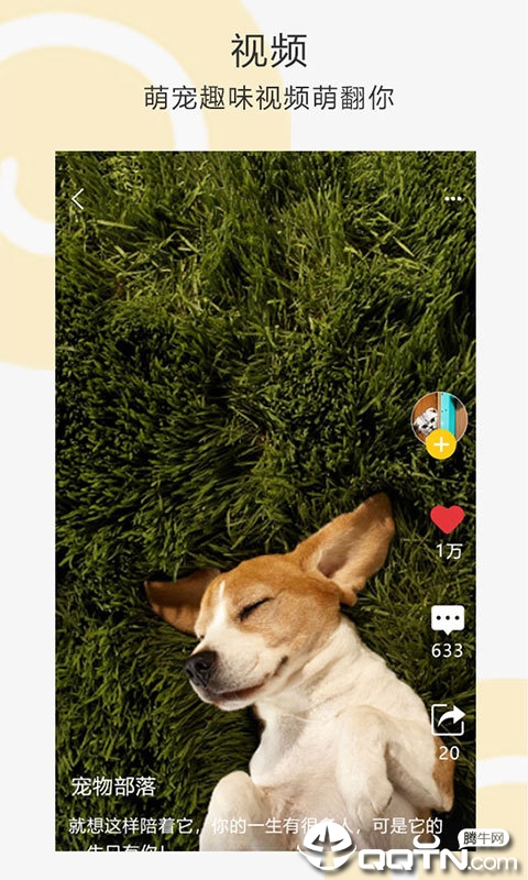 �Ұ�����