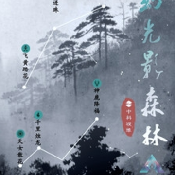 奇幻光影森林app 奇幻光影森林app