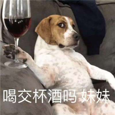 ������ɳ�������ϼ� �ʺ��������õ�ɳ����������