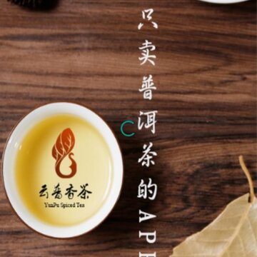云普茶园 云普茶园