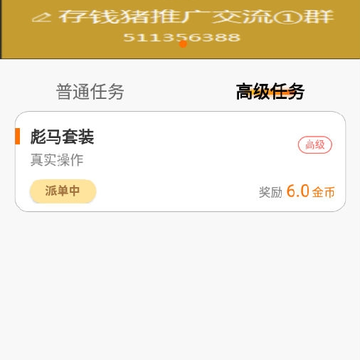 存钱猪 存钱猪