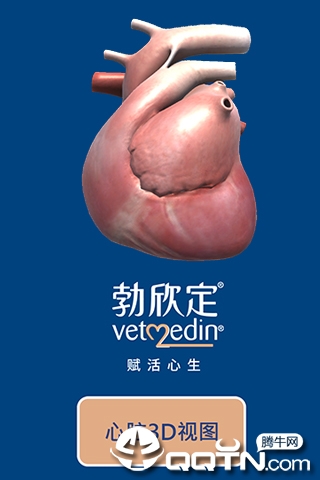 ������3D����ģ������