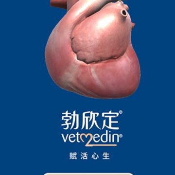 ������3D����ģ������