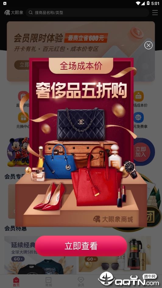 大眼象 大眼象
