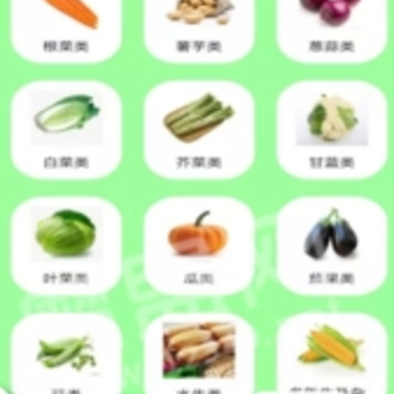 丽文蔬菜全书 丽文蔬菜全书
