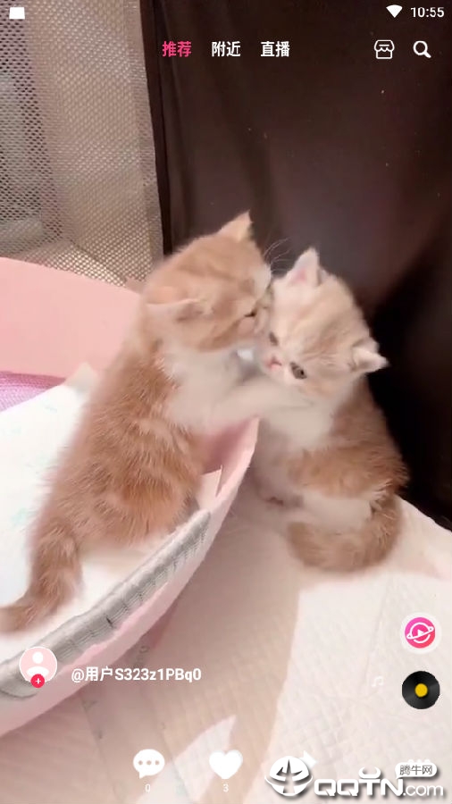 ���ܶ���Ƶ