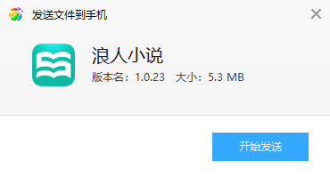 ����С˵