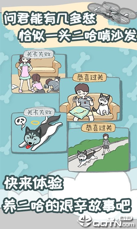 养只二哈不容易 养只二哈不容易