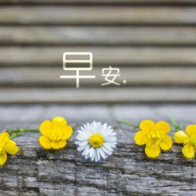 �簲����˵˵���Լ�2019 һ�仰�ļ��簲˵˵