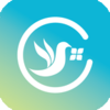 ͬ�Ƿ���v1.1.4 ��׿��