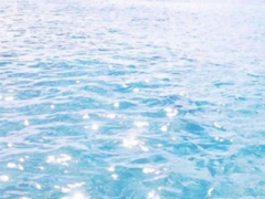 2019�����������΢��˵˵ �������˵�˵˵��ȫ