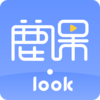 ¹��Lookv1.0.9 ��׿��