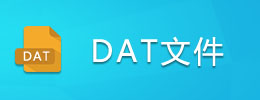 DAT�ļ�