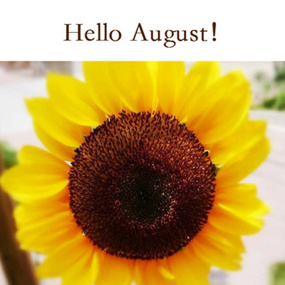 2019����ӭ�Ӱ���΢����ͼ ��ð��·羰ͼƬӢ����