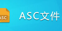 ASC�ļ�