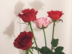 ���µ�һ�������Ȧ˵˵ 2019�����簲΢�ž���