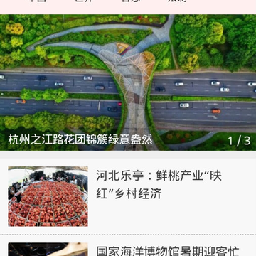�����ֻ������