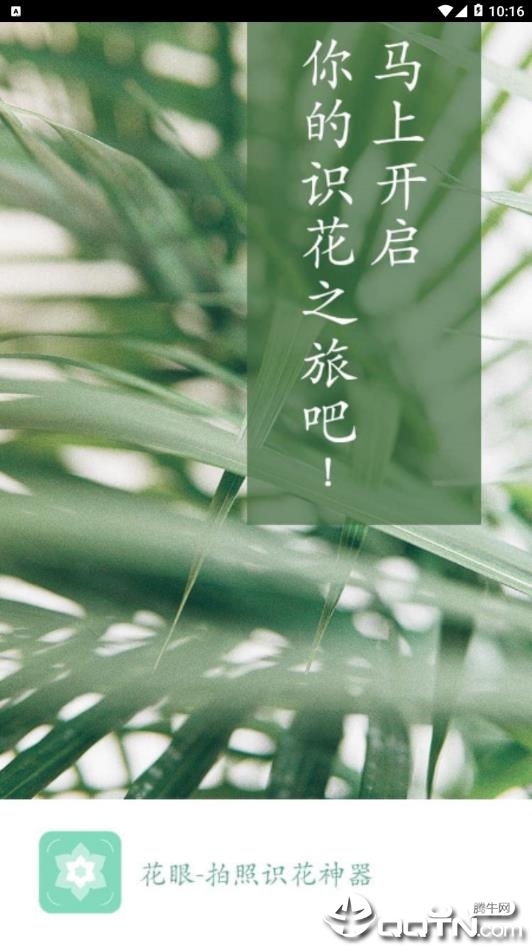 花眼 花眼