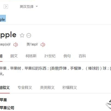 网易有道词典vip简洁版 网易有道词典vip简洁版