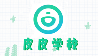 皮皮学校 皮皮学校