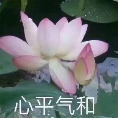 ������ϵ��������� ���������ͼƬ��ȫ