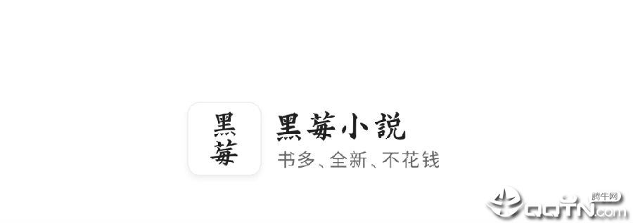 黑莓小说app去广告版 黑莓小说app去广告版