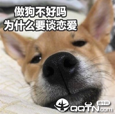七夕情人节单身狗头像大全 七夕情人节单身狗头像大全
