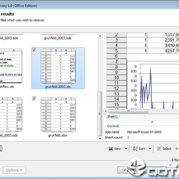 RS Excel Recovery RS Excel Recovery