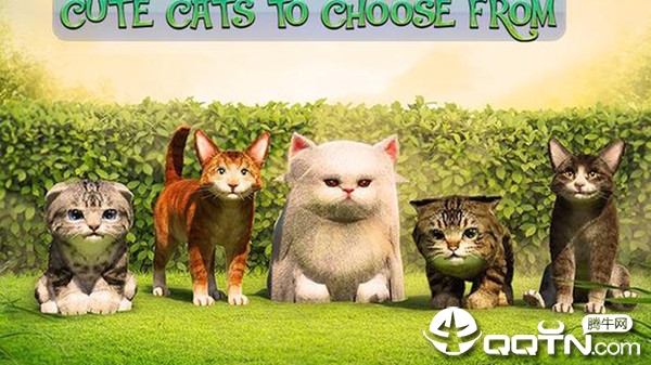 �ɰ�è��ð���ڹ���