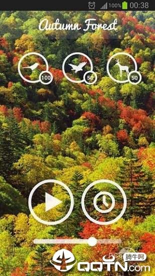 ɭ��֮��FOREST SOUND