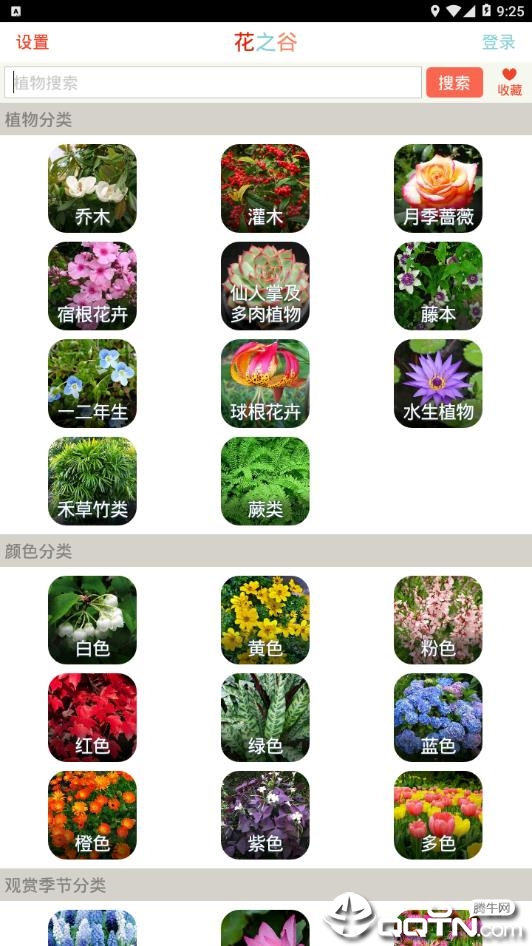 花之谷 花之谷