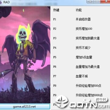 RAD九项修改器 RAD九项修改器