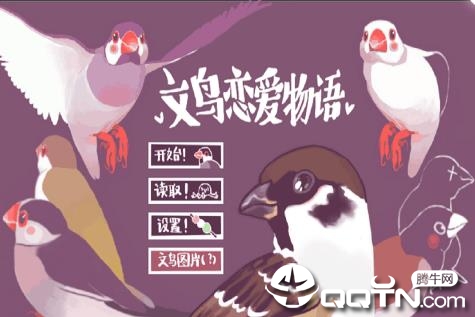 文鸟恋爱物语内购版 文鸟恋爱物语内购版