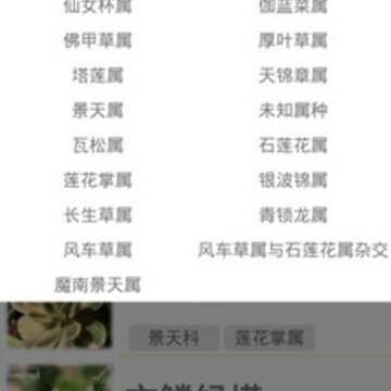 多肉图鉴 多肉图鉴
