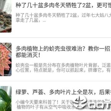 多肉社区 多肉社区