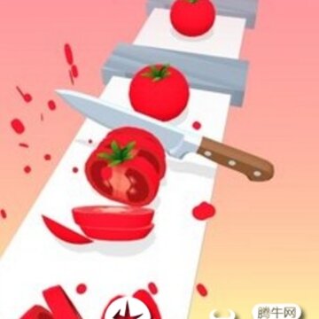 ��������Ƭ
