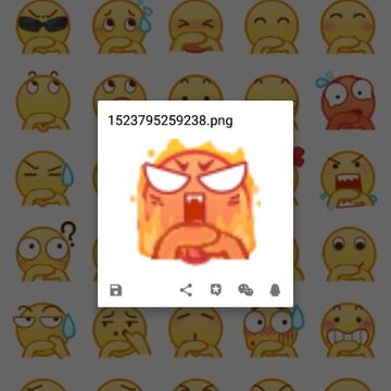 ���������app