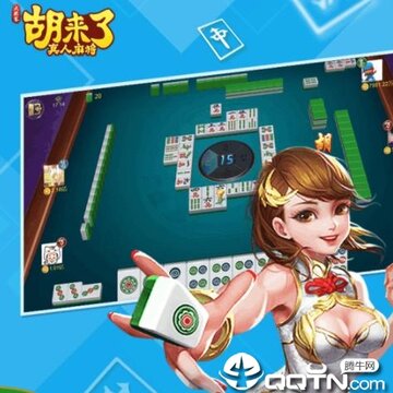 �����������齫�ڹ���